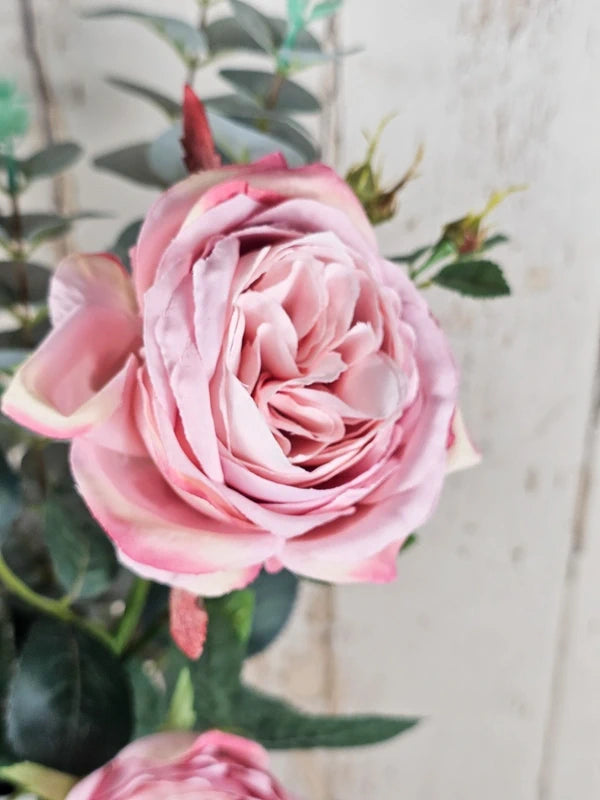 Vintage Rose & Eucalyptus with Vase