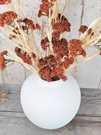 Autumn Spritz Collection