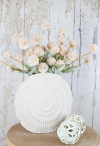 Pom-Shell Collection