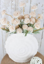 Pom-Shell Collection