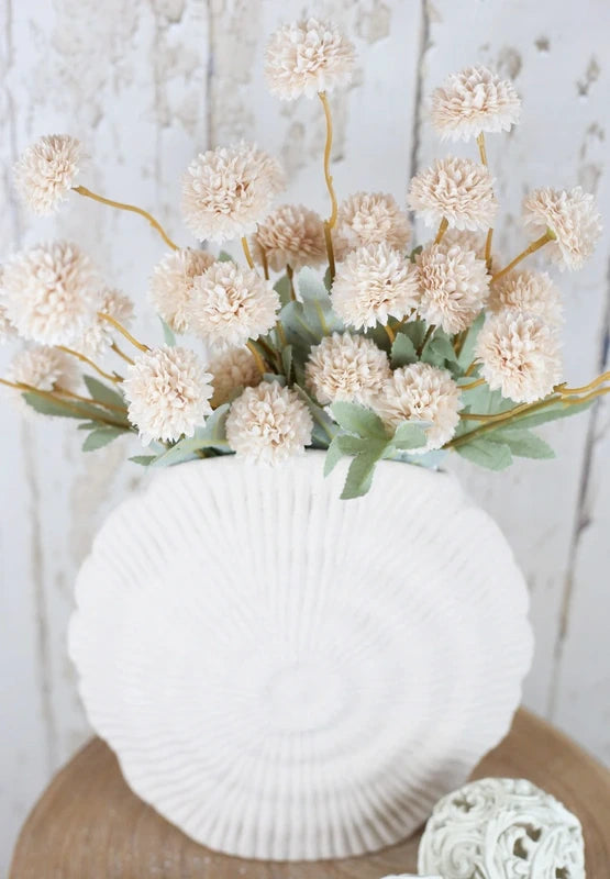 Pom-Shell Collection