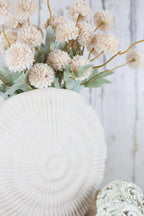 Pom-Shell Collection