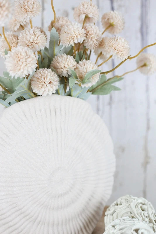 Pom-Shell Collection