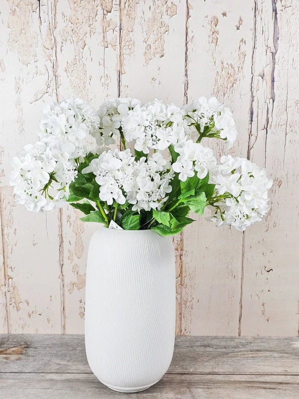 Double Head Hydrangeas