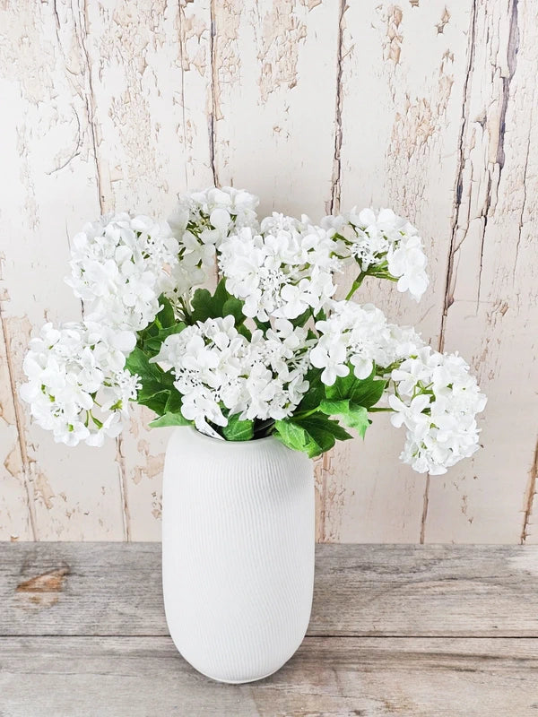 Double Head Hydrangeas