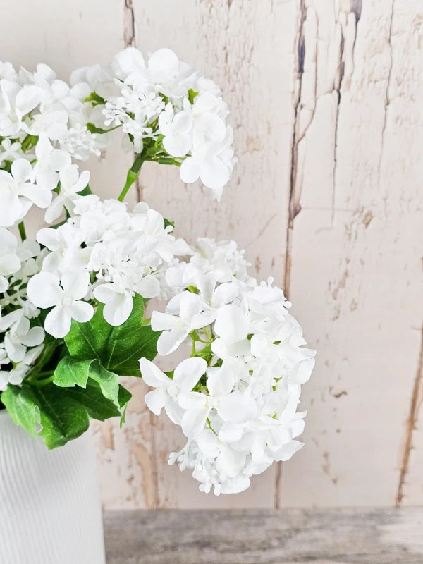 Double Head Hydrangeas