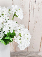 Double Head Hydrangeas