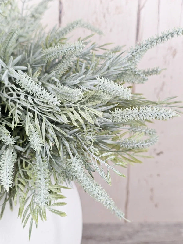 Dusted Tassel Ferns