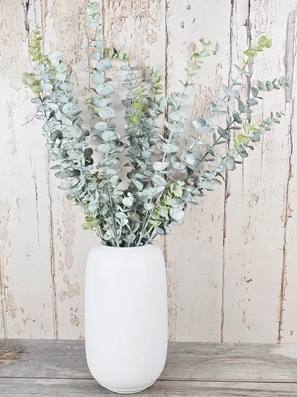 Triple Dusted Eucalyptus