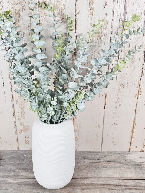 Triple Dusted Eucalyptus