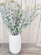 Triple Dusted Eucalyptus