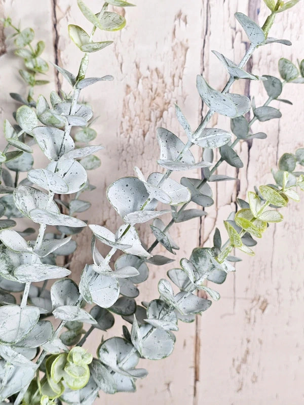 Triple Dusted Eucalyptus