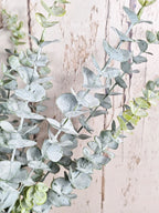 Triple Dusted Eucalyptus