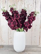 Burgundy Delphiniums