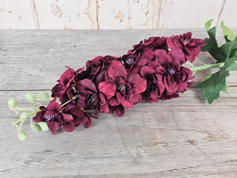 Burgundy Delphiniums