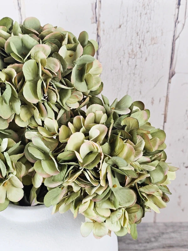 Green Hydrangeas