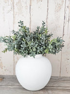 Boxwood Berry