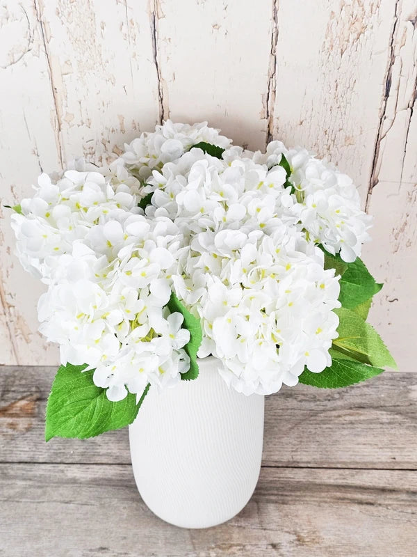 White Hydrangeas