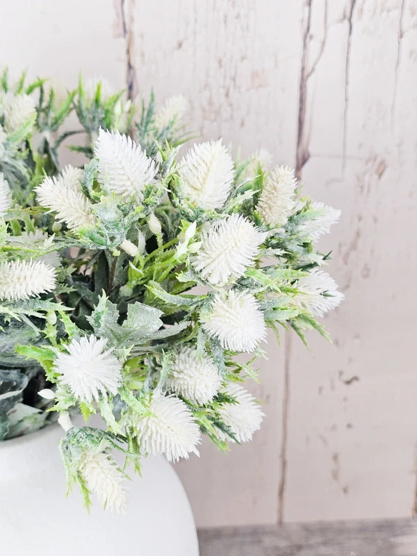 White Dusted Thistles