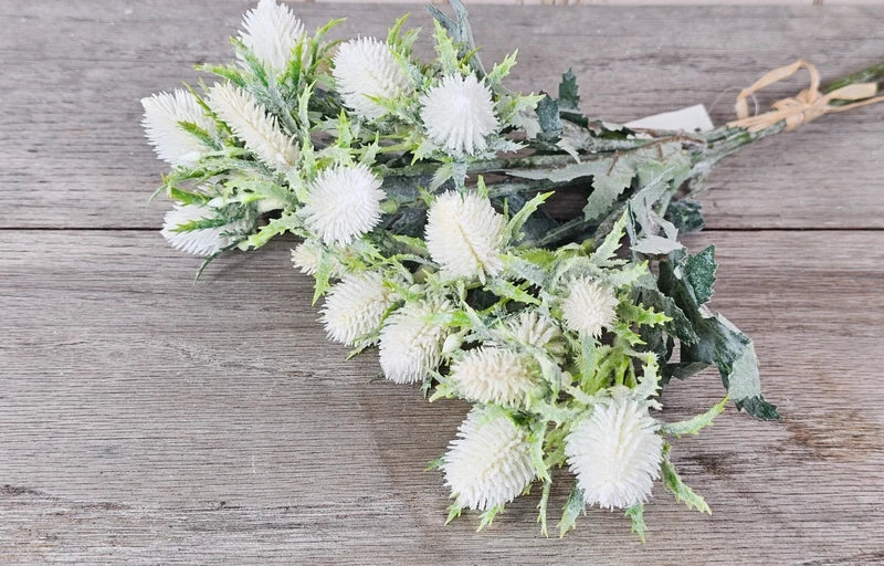 White Dusted Thistles