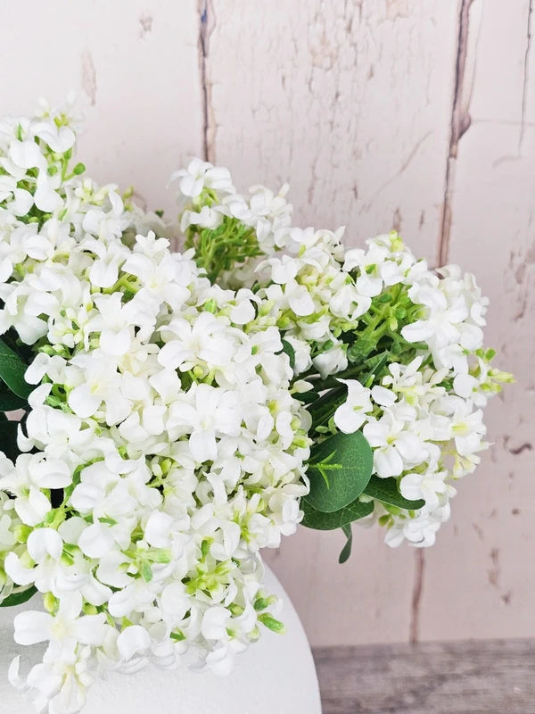 Lacey White Hydrangeas