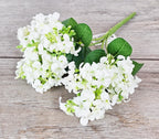 Lacey White Hydrangeas