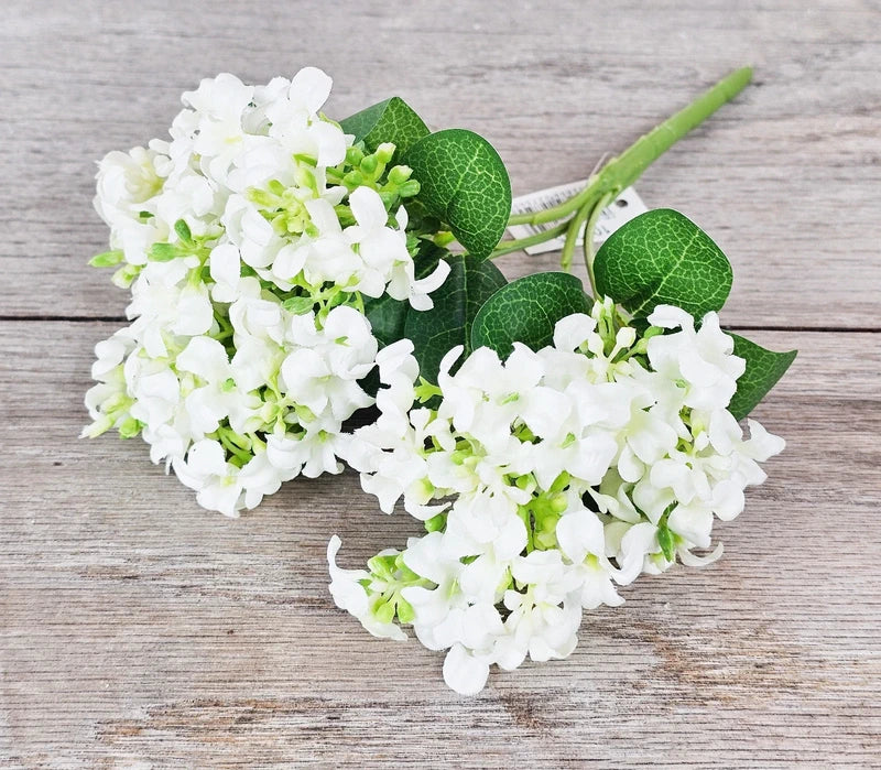 Lacey White Hydrangeas