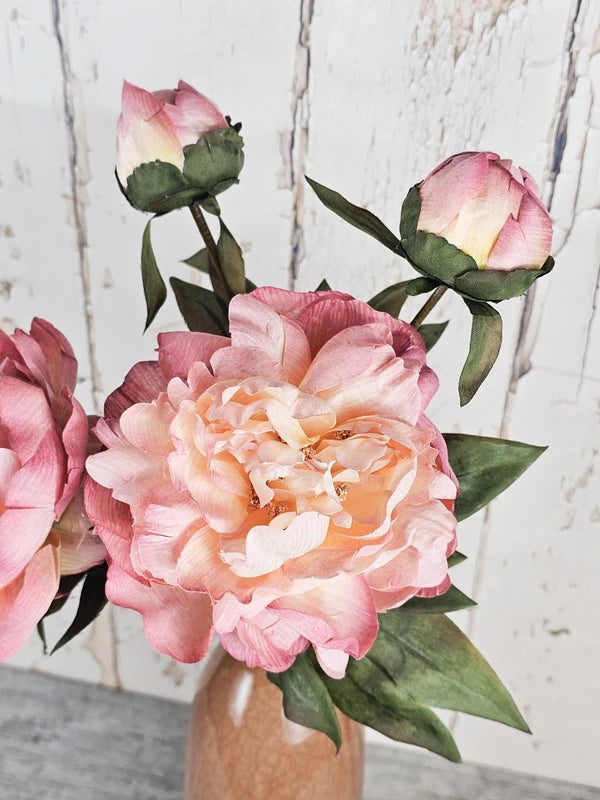 Vintage Peonies & Ombre Vase