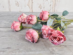 Vintage Pink Roses