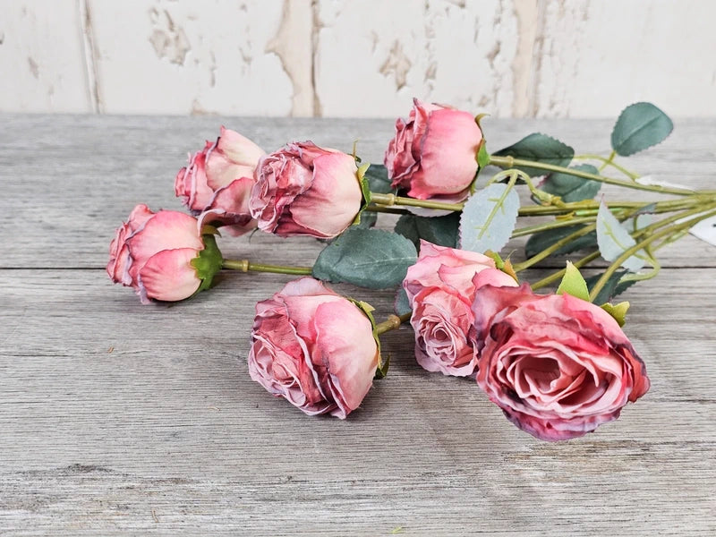 Vintage Pink Roses