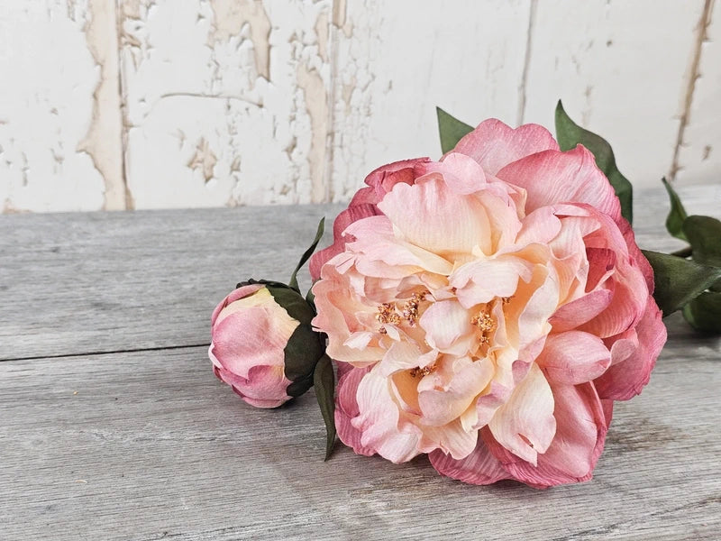 Vintage Peony & Bud