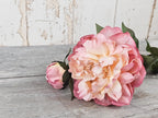 Vintage Peony & Bud