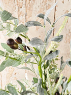 Greek Olive Arrangement