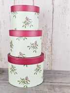 Mistletoe Gift Boxes